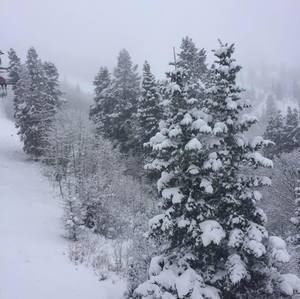 Meet your Posher, Silvano